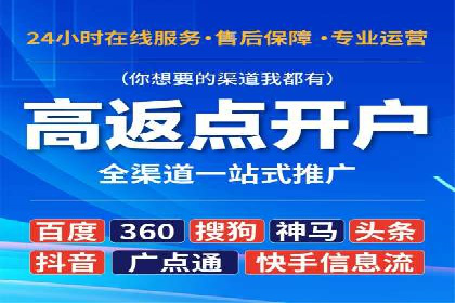 充值高返点案例研究：如何实现最大化收益